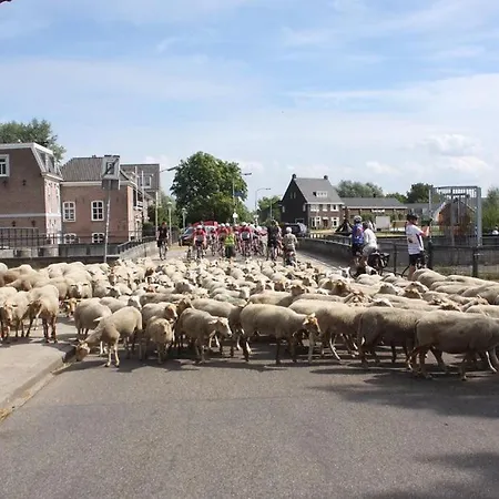 Apartamento Smedery *