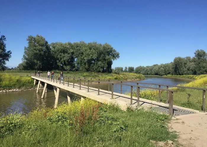 Апартаменты Smedery *